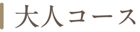 大人コース画像